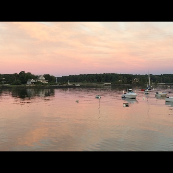 Meet your Posher, Missy - Picture 2 of 3